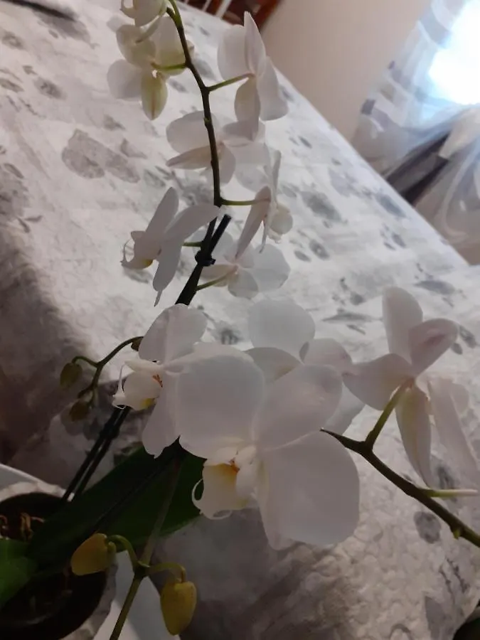 B&B Alla Bon'ora Volpago del Montello Bed & Breakfast